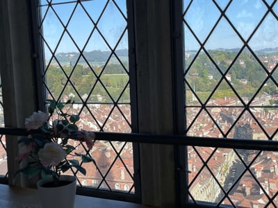 Ausblick-muensterturm-bern
