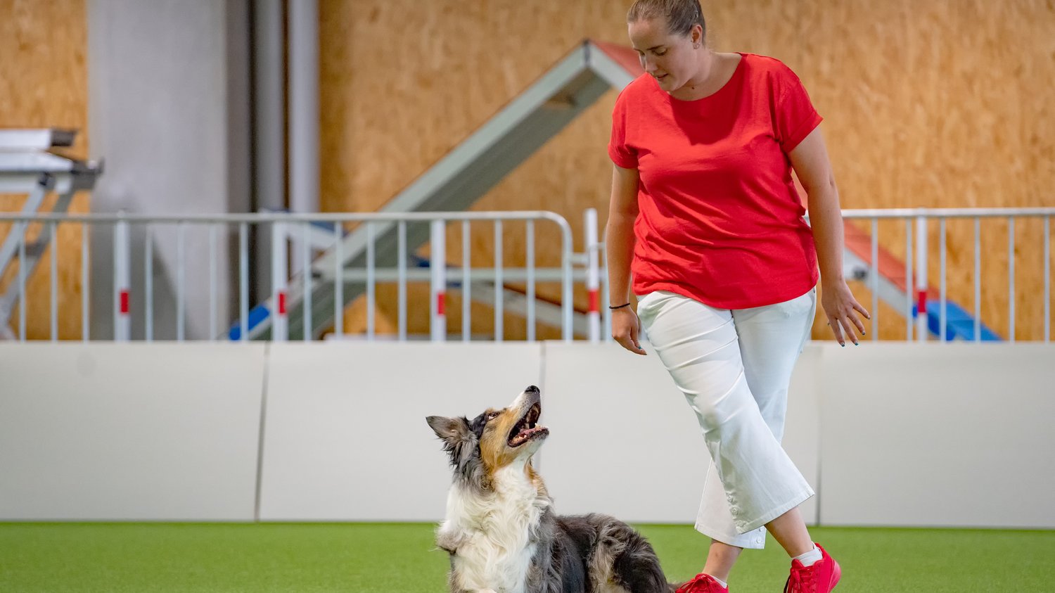 Betty ‒ Kopf für Zahlen, Herz für Hunde