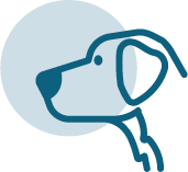 SmartIT-Icon-Hund